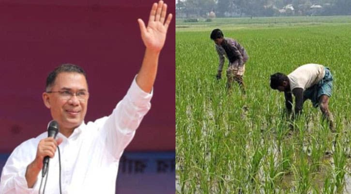 নববর্ষের দিনে ‘কৃষক কার্ড’ বিতরণ কর্মসূচির উদ্বোধন করলেন প্রধানমন্ত্রী