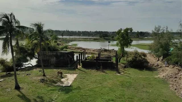 ড. ইউনূসের গ্রামীণ মৎস্য ও পশুসম্পদ ফাউন্ডেশনের ঘেরে ডাকাতি, আহত ৪